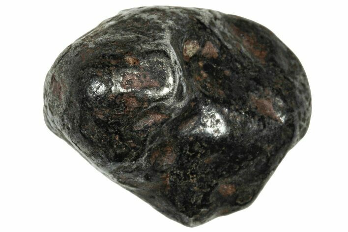 Agoudal Iron Meteorite ( g) - Morocco #303941